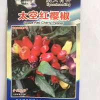 厂家批发 太空红樱椒种子观赏椒 20粒/袋