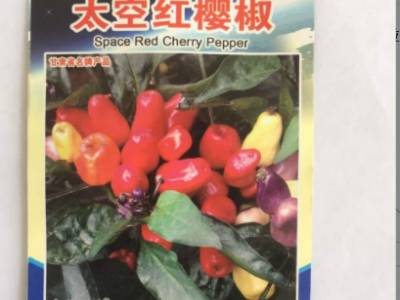 厂家批发 太空红樱椒种子观赏椒 20粒/袋图3