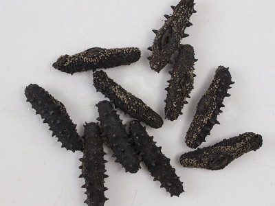 工厂直供 淡干海参500g 津参堂干制水产品海参干货 海鲜干货图2