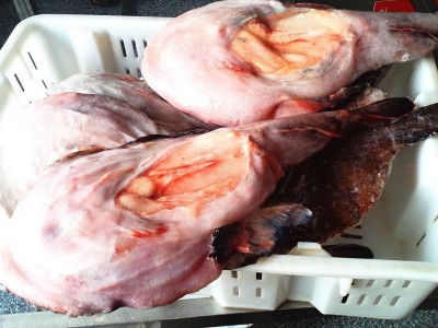 冻一去安康鱼去脏留胃安康鱼韩国火锅安康鱼frozen monkfish gutt图5