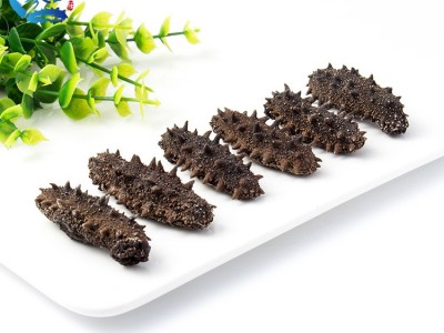批发海参干货 津参堂大连海产品纯淡干海参7X级500g 辽参刺参海参图2