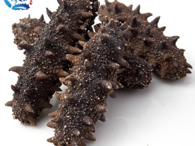 批发海参干货 津参堂大连海产品纯淡干海参7X级500g 辽参刺参海参图3