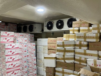 浪花冷冻红虫鱼饲料 黄板赤虫饲料 冰冻丰年虾牛心汉堡观赏鱼食图4