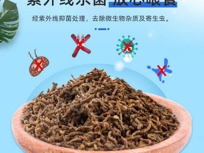 浪花小赤虫冻干红虫血线虫观赏鱼食饲料冰冻红虫批发图3