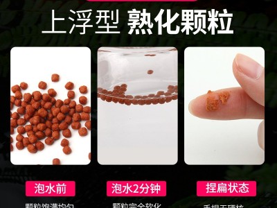罗汉鱼饲料起头增色攻头爆头鱼粮 营养小颗粒罗汉鱼 鱼食工厂批发图3