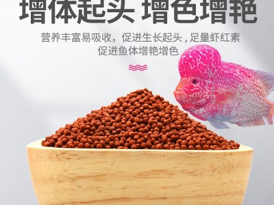 罗汉鱼饲料起头增色攻头爆头鱼粮 营养小颗粒罗汉鱼 鱼食工厂批发图2