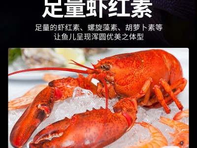 罗汉鱼饲料起头增色攻头爆头鱼粮 营养小颗粒罗汉鱼 鱼食工厂批发图4