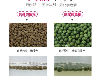 BESSN 蝴蝶鲤饲料 鱼食小颗粒 观赏鱼料小型鱼粮白金锦鲤工厂批发图2