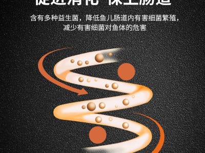 BESSN 蝴蝶鲤饲料 鱼食小颗粒 观赏鱼料小型鱼粮白金锦鲤工厂批发图4
