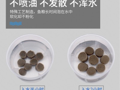 锦鲤鱼饲料下沉鱼食金鱼鹦鹉鱼招财猫银龙鱼罗汉地图鱼粮批发工厂图3