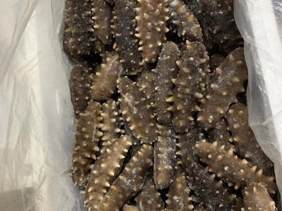 大连海参即食底播辽参刺参单个装高压熟发工厂批发非干货图3