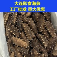 大连海参即食底播辽参刺参单个装高压熟发工厂批发非干货