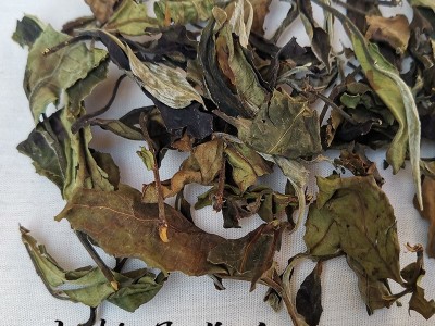 2022头春云南古树白茶300年左右月光美人白茶花果香浓郁500克散装图2
