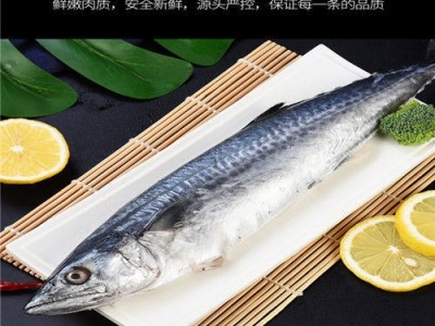 鲅鱼新鲜批发 鲜活海捕冷冻海鲜水产深海鱼大马鲛鱼大鲅鱼图2