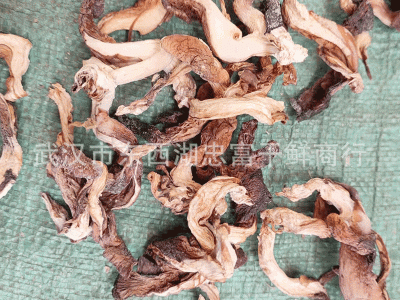 新货 平菇 鲍鱼菇 烤平菇 秀珍菇凤尾菇 散装批发煲汤菌粉500g图3