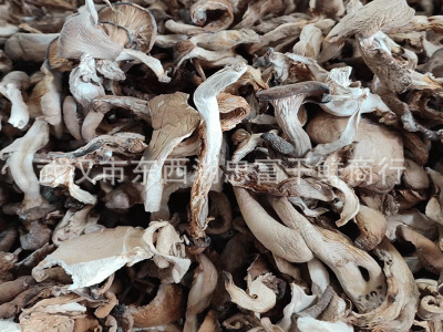 新货 平菇 鲍鱼菇 烤平菇 秀珍菇凤尾菇 散装批发煲汤菌粉500g图4