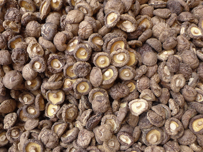 湖北干香菇山货 金钱菇菌类干货 香菇干 基地供应500g图3