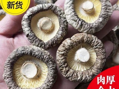 香菇干批发干货金钱小香菇无根肉厚花菇蘑菇批发跨境电商工厂包邮图2