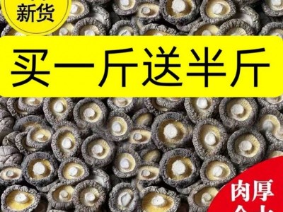 新货香菇干货500g农家肉厚无根干香菇蘑菇冬菇菌菇非净重毛重250g图5