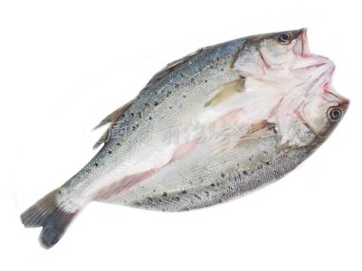 厂家供应冷冻海鲈鱼开背鲈鱼腌制一单独包装炭烤清蒸餐饮烤鱼店图4