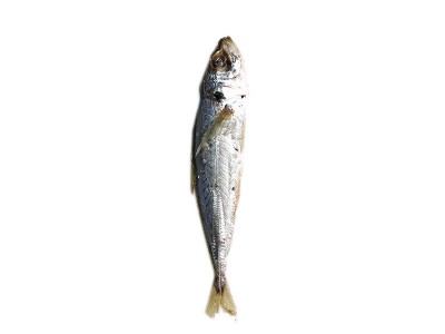 海鲜干货巴浪鱼干250g 漳州东山岛小鱼干厂家货源一件代发批发图5