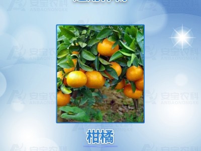 明德立达德亮 5%阿维菌茵素 柑橘红蜘蛛杀虫剂 100g*60瓶整箱链接图3