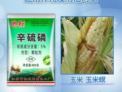 地标5%辛硫磷颗粒防治玉米玉米螟有机磷杀虫剂800g*10袋整箱链接图2