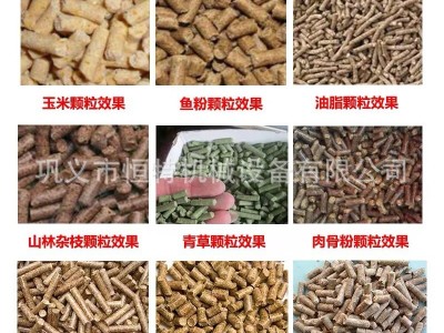养殖用小型鸡鸭鱼饲料颗粒机 青草玉米鱼饵饲料颗粒机 家用饲料机图3