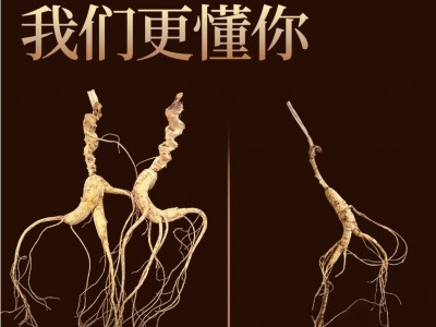 人参长白山老山参东北林下参人参20年泡酒山参礼盒装干货整枝图3