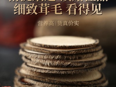 鹿茸片主角头茬白粉片血片鹿茸干片新鲜鹿茸切片泡水泡酒图4