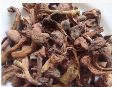 东北特产 松树伞/红蘑菇 小鸡炖蘑菇所用 干蘑菇 批发价供应500克图2