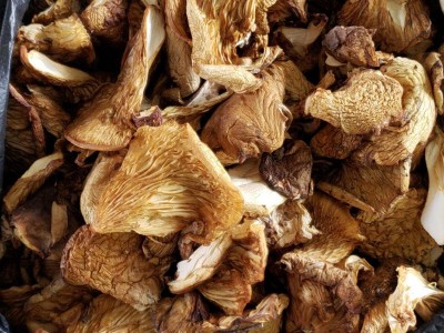 冻蘑元磨冬蘑菇 干蘑菇批发零售 新货袋装山货年货图3