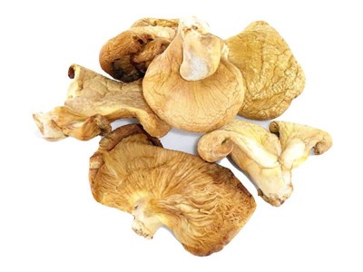 冻蘑元磨冬蘑菇 干蘑菇批发零售 新货袋装山货年货图5