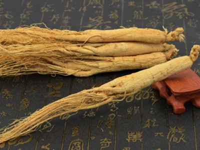人参 白参 生晒参 一件代发图4