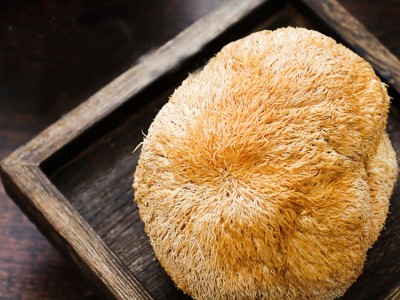 东北猴头菇袋装蘑菇菌类节日礼品东北特产图5