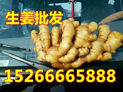 山东生姜产地批发 大黄姜 小黄姜 货源充足 质优价廉图3