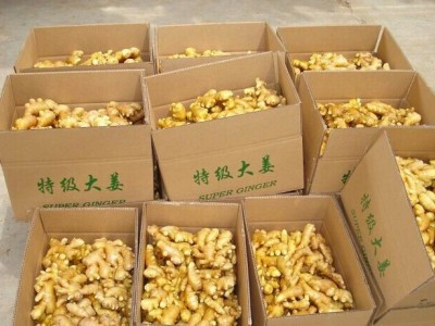 山东生姜产地批发 大黄姜 小黄姜 货源充足 质优价廉图2