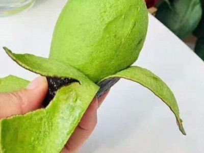 云南哈斯牛油果当季水果鳄梨170-400G图2