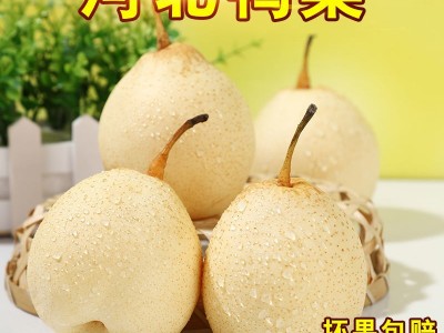 河北鸭梨水晶梨水果梨子批发斤新鲜白梨非皇冠梨雪梨香梨斤斤图2