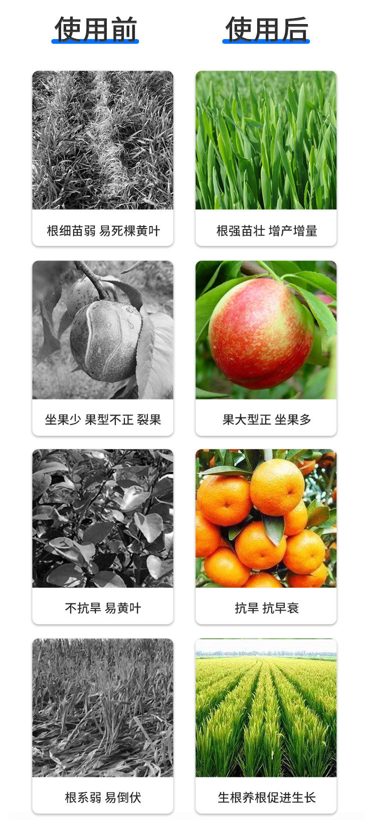 甲壳素海藻精钾_14.jpg