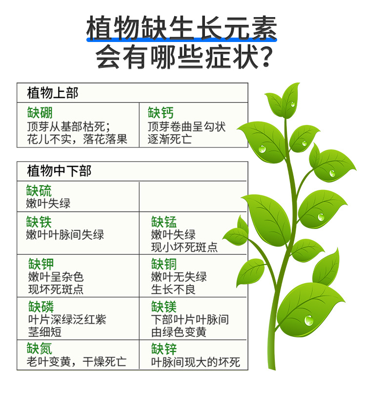 甲壳素海藻精钾_12.jpg