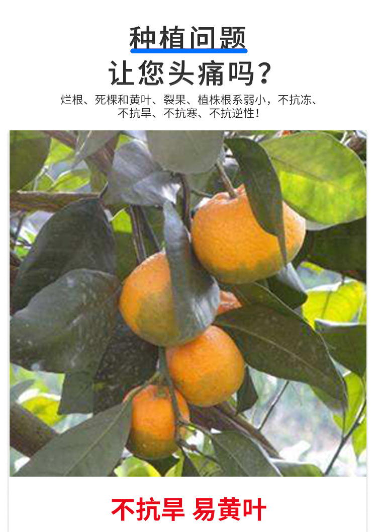 甲壳素海藻精钾_02.jpg