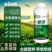 一喷绿黄叶枯死变绿含氨基酸通用蔬菜花卉叶绿素微量元素叶面肥