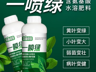 一喷绿黄叶枯死变绿含氨基酸通用蔬菜花卉叶绿素微量元素叶面肥图2