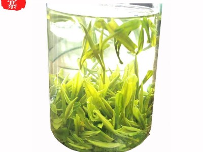 新茶原产地高山新茶办公用茶霍山黄芽黄茶散装茶叶厂家直供图2