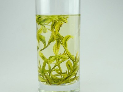 半斤装250克安吉白茶雨前新茶叶春茶 珍稀白茶原产地茶厂图2