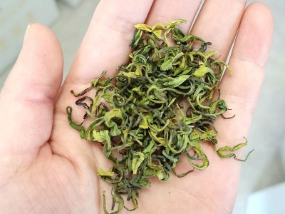 半斤装250克手工安吉白茶雨前新茶叶春茶 螺型白茶卷白茶珍稀白茶图2