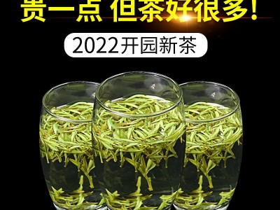 原产地2022新茶高山绿茶黄山毛峰 散装绿茶500g 一件代发云雾毛峰图2