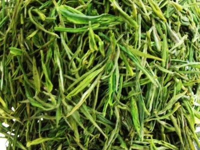 安吉白茶 2022新茶春茶叶绿茶 安吉产地 厂家供应图4