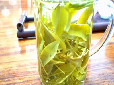 酒店饭店茶楼棋牌室招待用茶2022浙江安吉白茶新茶高山绿茶批发图4